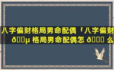 八字偏财格局男命配偶「八字偏财 🌵 格局男命配偶怎 🐝 么样」